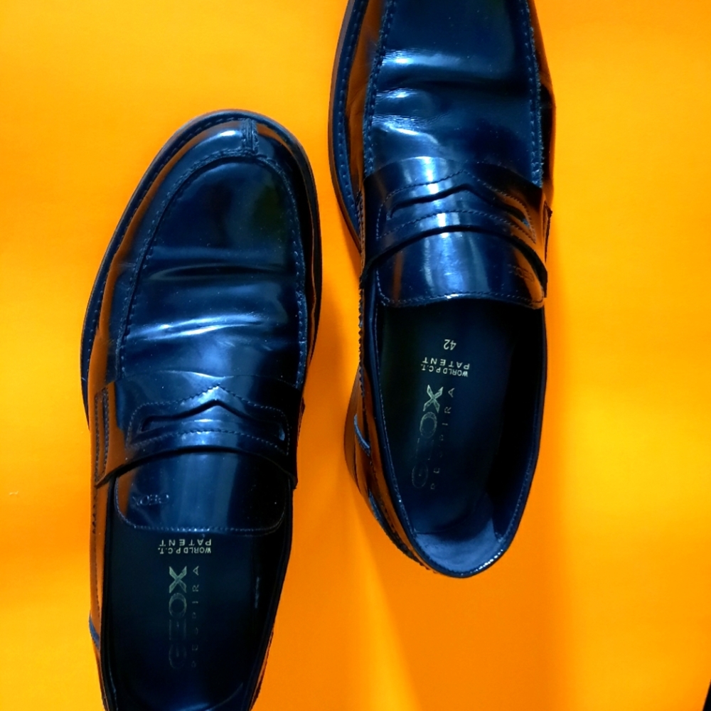 GEOX Men's shoes , 42size,little worn. $30